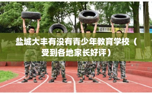 盐城大丰有没有青少年教育学校（受到各地家长好评）