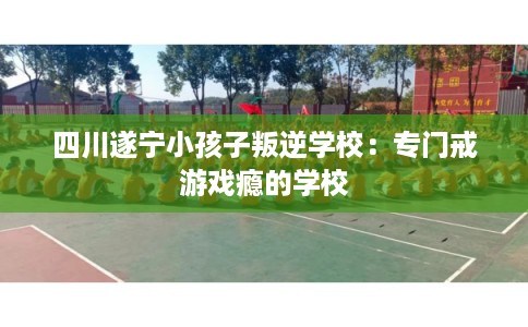 四川遂宁小孩子叛逆学校：专门戒游戏瘾的学校