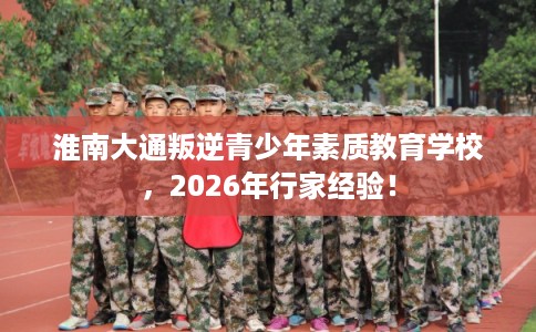 淮南大通叛逆青少年素质教育学校，2026年行家经验！