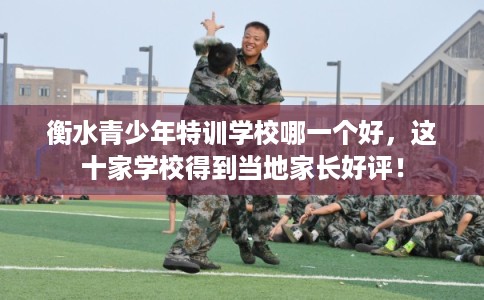 衡水青少年特训学校哪一个好，这十家学校得到当地家长好评！