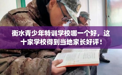 衡水青少年特训学校哪一个好，这十家学校得到当地家长好评！