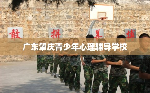 广东肇庆青少年心理辅导学校