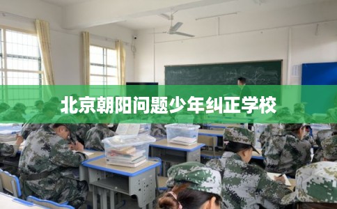 北京朝阳问题少年纠正学校 北京朝阳问题少年纠正学校