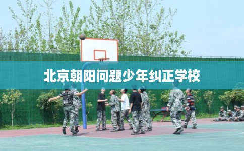 北京朝阳问题少年纠正学校 北京朝阳问题少年纠正学校