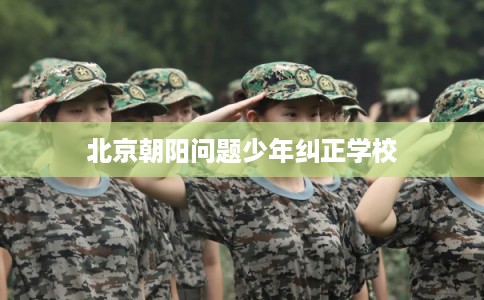 北京朝阳问题少年纠正学校 北京朝阳问题少年纠正学校
