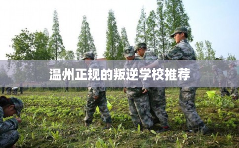 温州正规的叛逆学校推荐