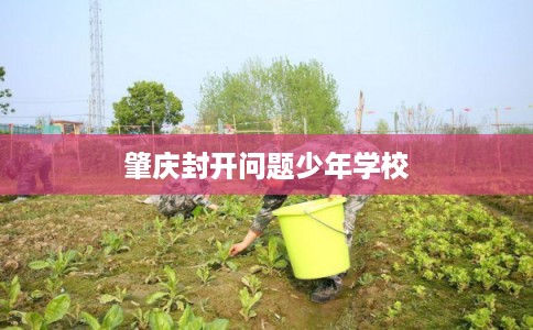 肇庆封开问题少年学校 肇庆封开问题少年学校
