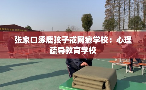 张家口涿鹿孩子戒网瘾学校：心理疏导教育学校