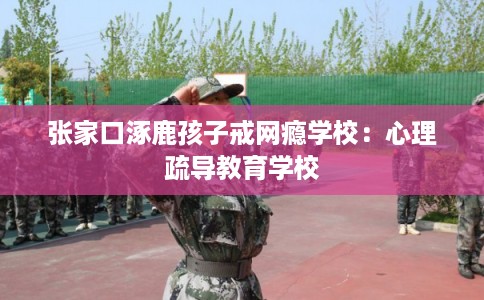 张家口涿鹿孩子戒网瘾学校：心理疏导教育学校