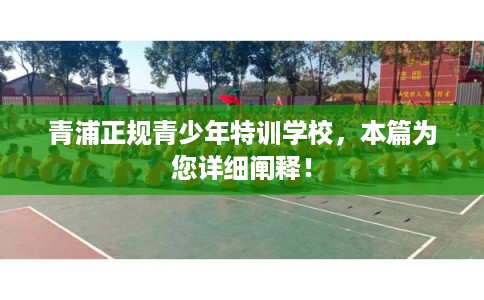 青浦正规青少年特训学校，本篇为您详细阐释！