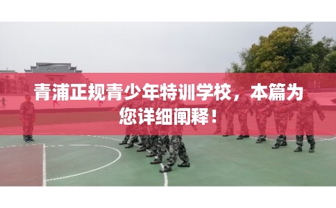 青浦正规青少年特训学校，本篇为您详细阐释！