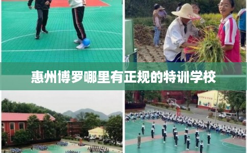 惠州博罗哪里有正规的特训学校