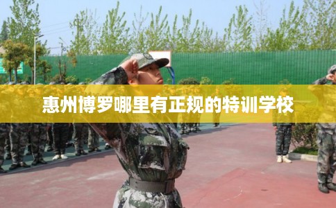 惠州博罗哪里有正规的特训学校