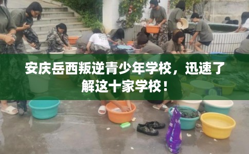 安庆岳西叛逆青少年学校,迅速了解这十家学校! 安庆岳西叛逆青少年学校,迅速了解这十家学校!