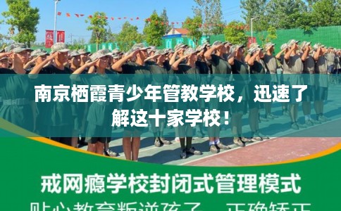 南京栖霞青少年管教学校，迅速了解这十家学校！