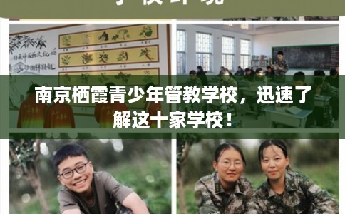 南京栖霞青少年管教学校，迅速了解这十家学校！