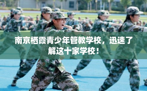 南京栖霞青少年管教学校，迅速了解这十家学校！