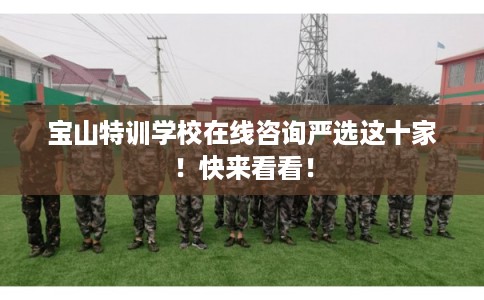 宝山特训学校在线咨询严选这十家！快来看看！