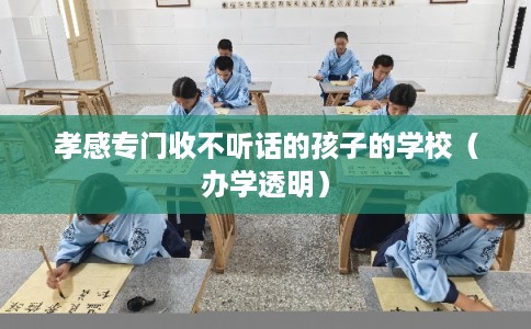 孝感专门收不听话的孩子的学校（办学透明）