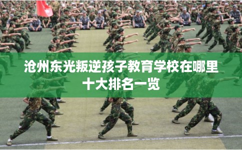 沧州东光叛逆孩子教育学校在哪里十大排名一览