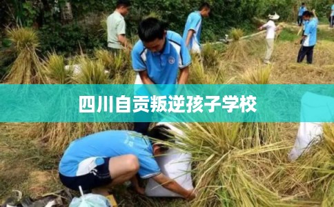 四川自贡叛逆孩子学校