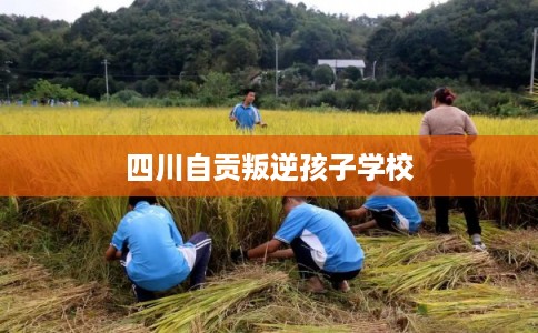 四川自贡叛逆孩子学校