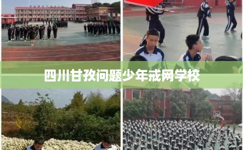 四川甘孜问题少年戒网学校