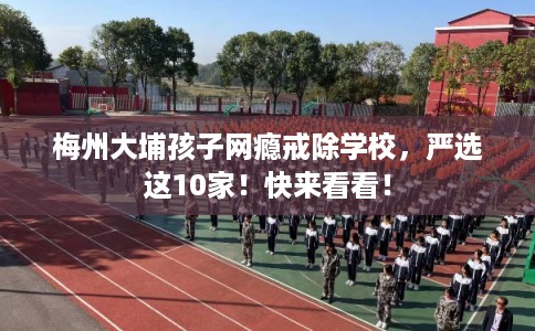 梅州大埔孩子网瘾戒除学校，严选这10家！快来看看！