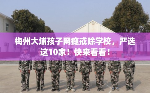 梅州大埔孩子网瘾戒除学校，严选这10家！快来看看！
