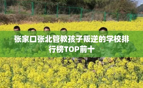 张家口张北管教孩子叛逆的学校排行榜TOP前十