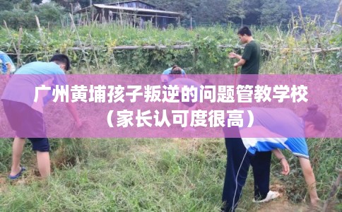 广州黄埔孩子叛逆的问题管教学校（家长认可度很高）