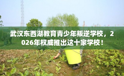武汉东西湖教育青少年叛逆学校，2026年权威推出这十家学校！