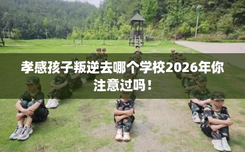 孝感孩子叛逆去哪个学校2026年你注意过吗！