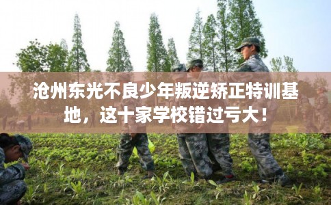 沧州东光不良少年叛逆矫正特训基地，这十家学校错过亏大！