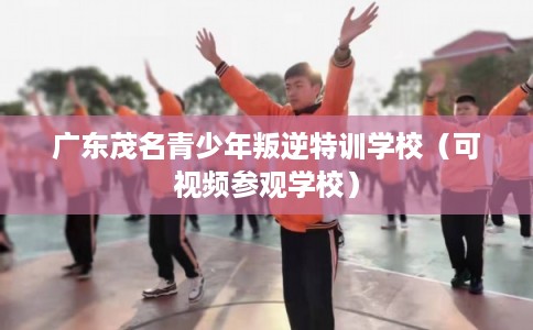 广东茂名青少年叛逆特训学校（可视频参观学校）