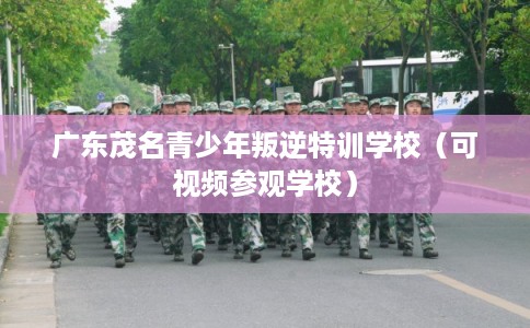 广东茂名青少年叛逆特训学校（可视频参观学校）