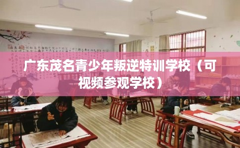 广东茂名青少年叛逆特训学校（可视频参观学校）