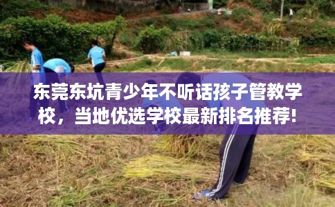 东莞东坑青少年不听话孩子管教学校，当地优选学校最新排名推荐!