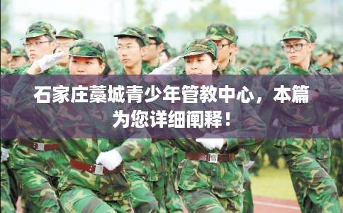 石家庄藁城青少年管教中心，本篇为您详细阐释！