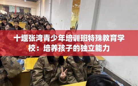 十堰张湾青少年培训班特殊教育学校：培养孩子的独立能力