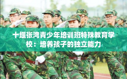 十堰张湾青少年培训班特殊教育学校：培养孩子的独立能力