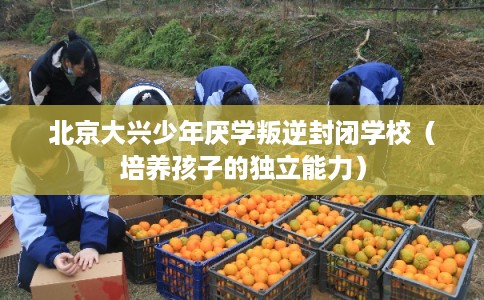 北京大兴少年厌学叛逆封闭学校（培养孩子的独立能力）