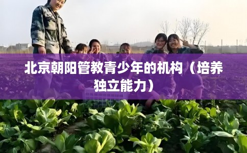 北京朝阳管教青少年的机构（培养独立能力）