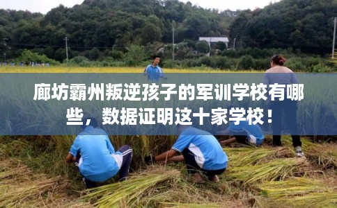 廊坊霸州叛逆孩子的军训学校有哪些，数据证明这十家学校！