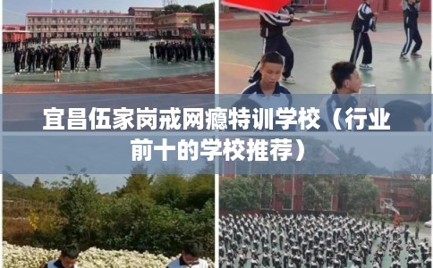 宜昌伍家岗戒网瘾特训学校（行业前十的学校推荐）