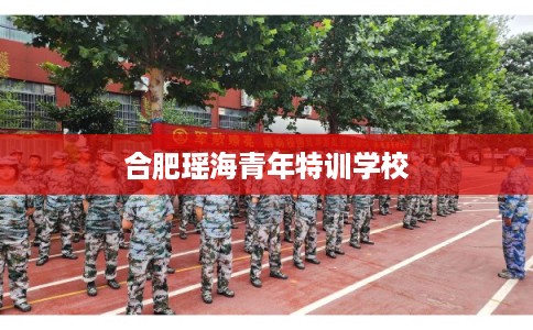 合肥瑶海青年特训学校