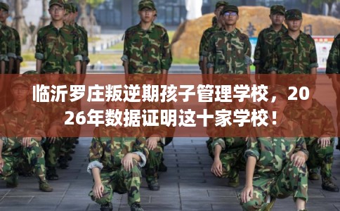临沂罗庄叛逆期孩子管理学校，2026年数据证明这十家学校！