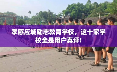 孝感应城励志教育学校，这十家学校全是用户真评!