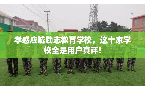 孝感应城励志教育学校，这十家学校全是用户真评!