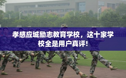 孝感应城励志教育学校，这十家学校全是用户真评!